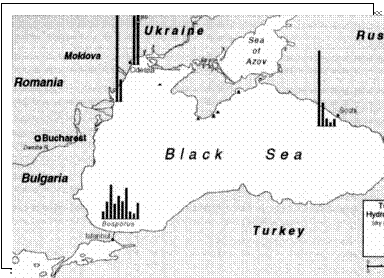 Text
            Box: